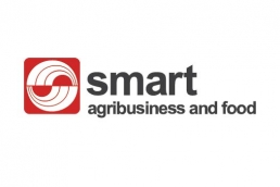Sinarmas Agribusiness and Food PT Sinar Mas Agro Resources and Technology Tbk (PT SMART Tbk)